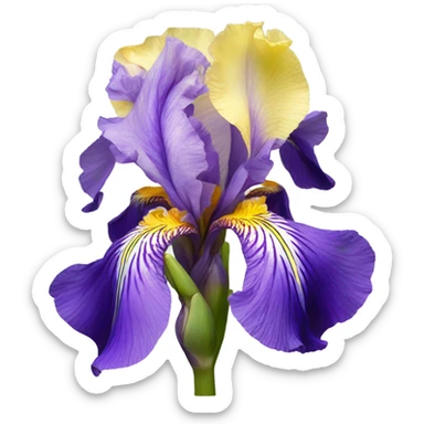 Iris flower sticker
