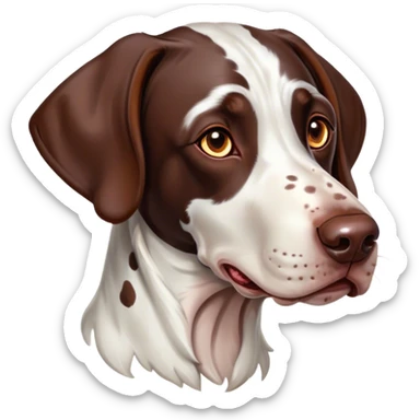 Cinematic Comical German Pointer Portrait Emoji, Head tilted dramatically with an exaggeratedly amused expression, featuring a striking liver and white coat with bold markings, wide, expressive brown eyes filled with playful disbelief, Simplified yet hilariously expressive features, highly detailed, glowing with a slightly sassy glow, high shine, dramatic yet playful, stylized with an air of cheeky charm, bright and endearing, soft glowing outline, capturing the essence of a spirited and over-the-top companion, so meme-worthy it feels like it could side-eye its way into internet fame instantly! sticker