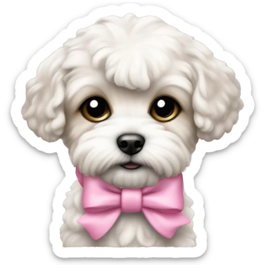 Schichon puppy pink bow sticker