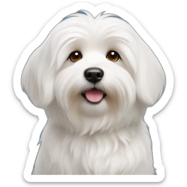 Petit chien coton de tulear  sticker