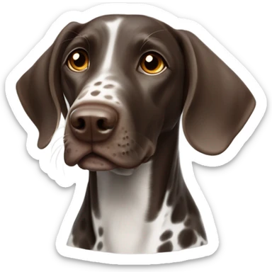 Happy German shorthair pointer dog sticker