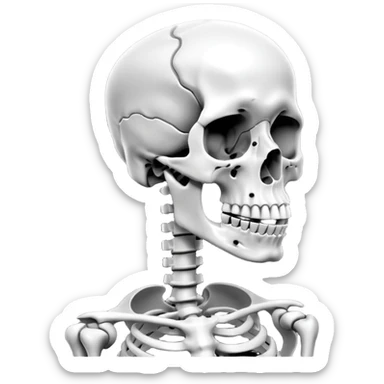 Cone beam xray sticker