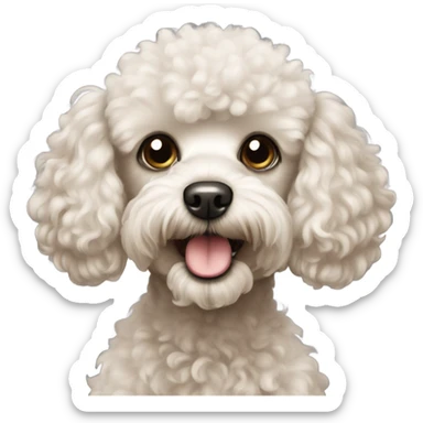 Toy poodle  sticker
