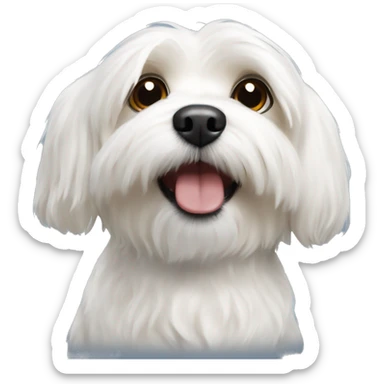 Small White havanese dog  sticker