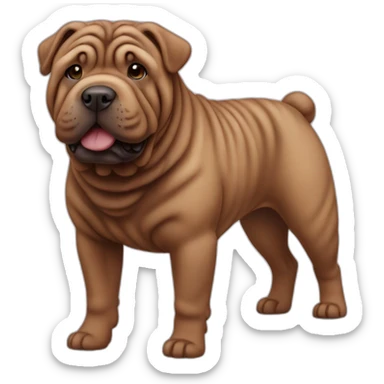 Chocolate shar-pei dog, full body sticker
