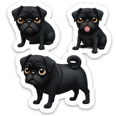 Black pugs  sticker