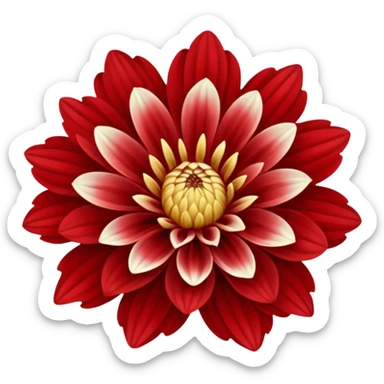 dahlia flower, red and white petals, no text sticker