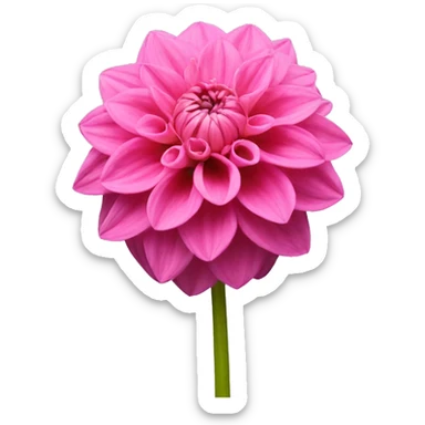 A pink dahlia boquett sticker