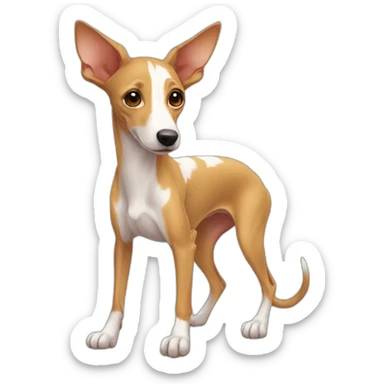 podenco papa niña sticker