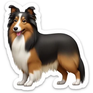 Shetland sheepdog sticker