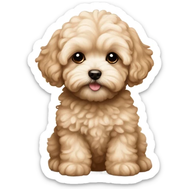 Coffee colored maltipoo puppy sticker
