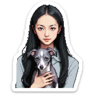 Slim Chinese girl with long black hair holding solid grey Italian greyhound with no white markings on nose sticker