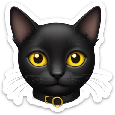 a black cat with bright yellow eyes and a collar with the name kai on it sticker