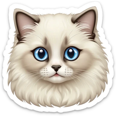 Seal colorpoint ragdoll kitten sticker