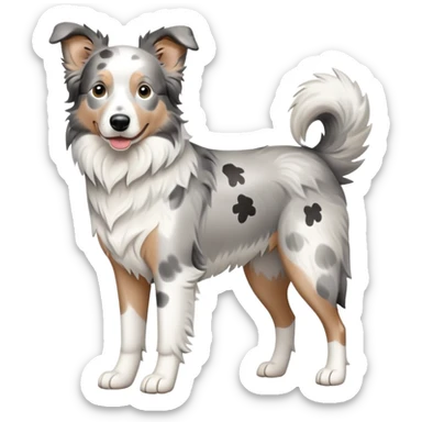 Grey spotted Merle Border Collie dog full body sticker