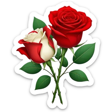 One red flower and one white flower in transparent bouquet with red band  sticker