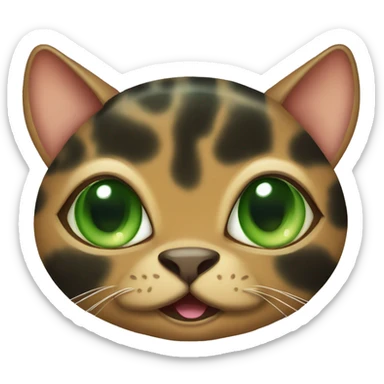 Green eyed tortoise shell cat with happy face sticker
