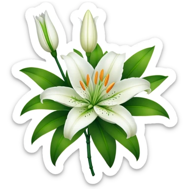 Beautiful white lily flower with green stem and leaves sticker