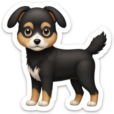 Chien noir avec poitrine et patte avant droite blanche sticker