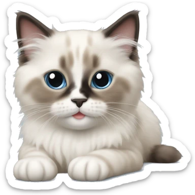 Ragdoll kitten laying  sticker