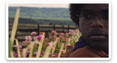 A portrait of a person in the foreground, blurred plants in the foreground (close to the camera), a wooden fence and colorfull flowers in the midground, rolling hills in the background, cinematic depth of field, layered composition, natural lighting sticker