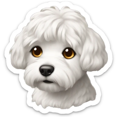 Coton de tuléar with readheaded short haired human sticker