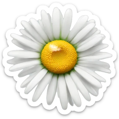 daisy flower sticker