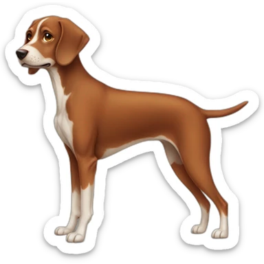 Dog, viszla, female, old, sticker