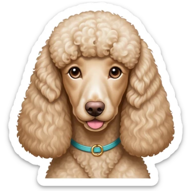 White standard poodle and Kylie sticker