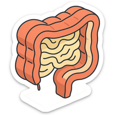 cross-section of intestine, 2D isometric style, minimalist background, soft shadows and highlights, transparent background sticker