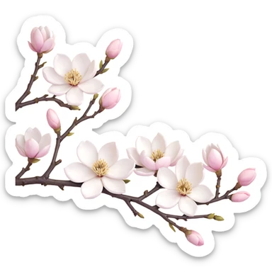 Traditional Japanese Magnolia kobus (kobushi) blossom with sumi-e brush stroke style, delicate white flowers on bare branch, zen aesthetic with subtle ink wash background sticker