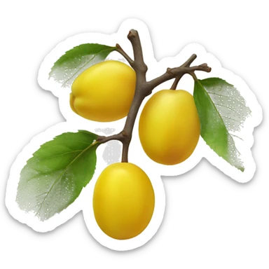 yellow plum sticker