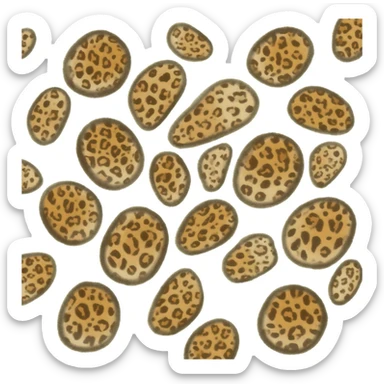Leopard print sticker