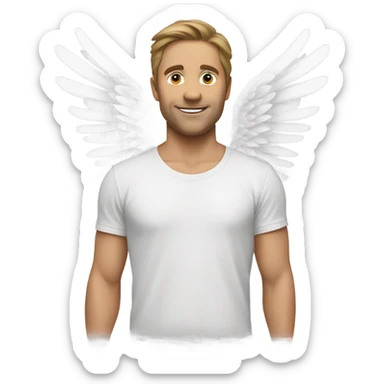 white t shirt with small drawing of wings on the front sticker