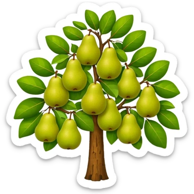 Pear Tree sticker
