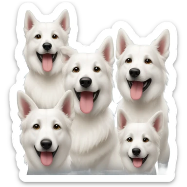 three white shepherds sticker