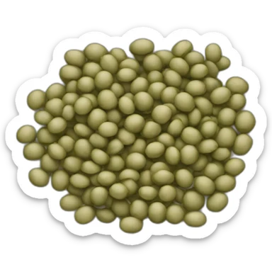 THREE LENTILS sticker