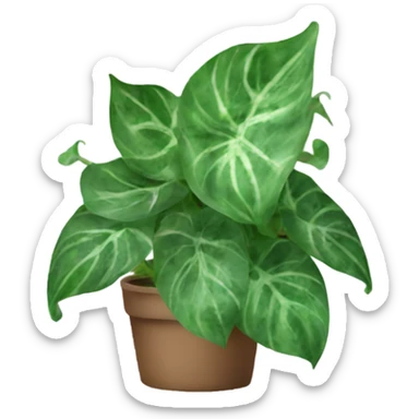 Pothos plant marbled leaves  sticker