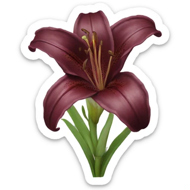 realistic burgundy lily sticker
