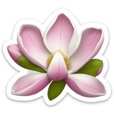 Magnolia  sticker