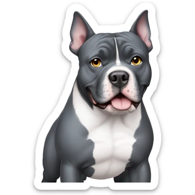 full-length dark gray American bully with erect ears and blue eyes sticker