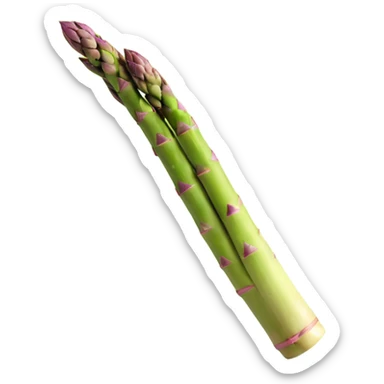 realistic fresh asparagus without eyes, nose, or mouth sticker