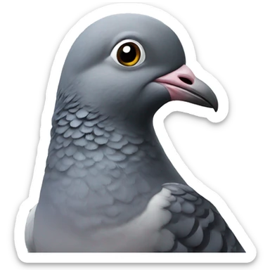 Pigeon sticker
