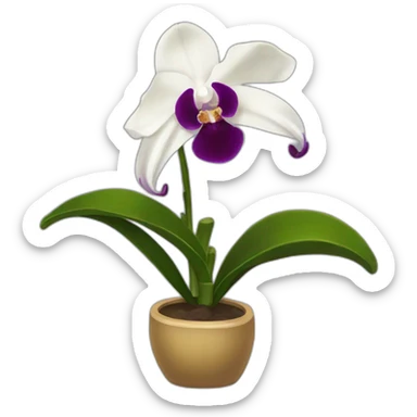 Orquidea sticker