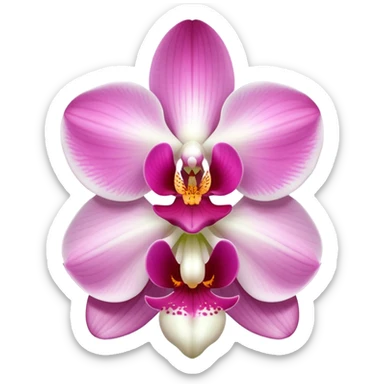 exquisite-phalaenopsis-moth-orchid-with-pure-white-petals-and-subtle-pink-center sticker