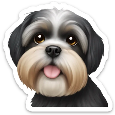 Shih tzu black puppy, yorkie coloring with light colored eyebrows. Round face, short ears. Looks like teddy bear  sticker