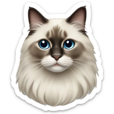 A ragdoll cat  sticker