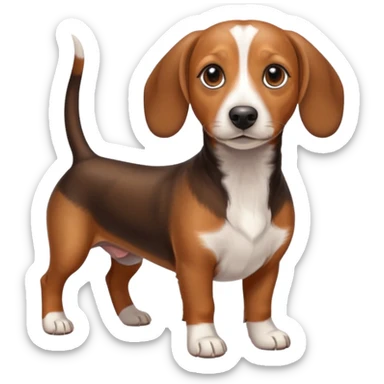 beagle dachshund mix sticker