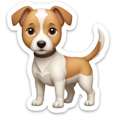 a full body facing front on of a buff white beagle cross jack russell terrier looking dog the size of a kelpie with light brown long ears resting on its face and a light brown patch above one eye and a large snout. the rest of the dog is completely white.  sticker
