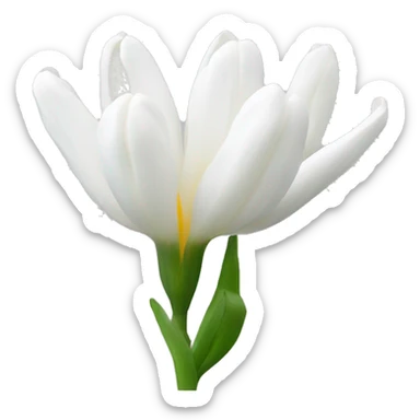 white tulpis sticker